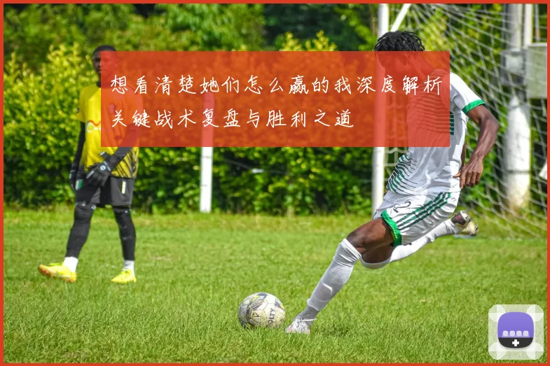 想看清楚她们怎么赢的我深度解析关键战术复盘与胜利之道