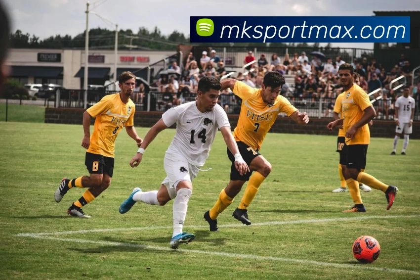 多媒体互动体验